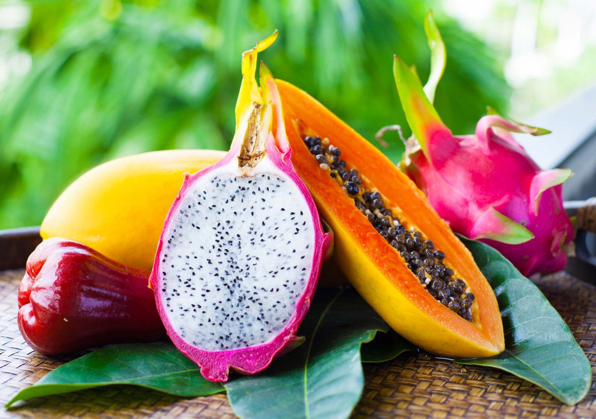 Cultivos tropicales y bienestar